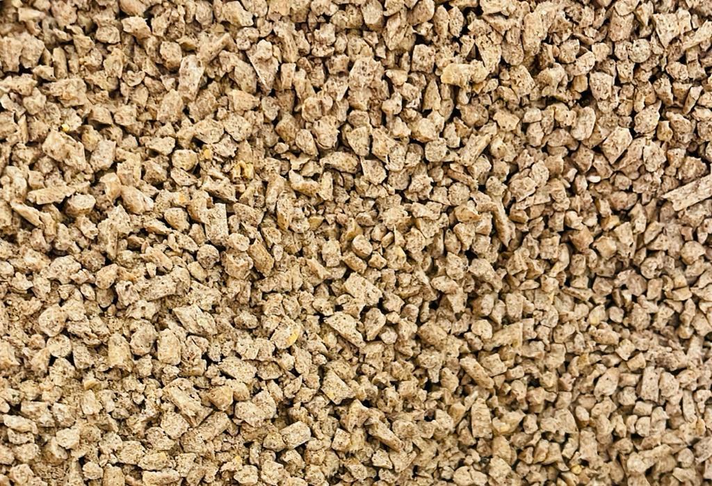 Cricket feed