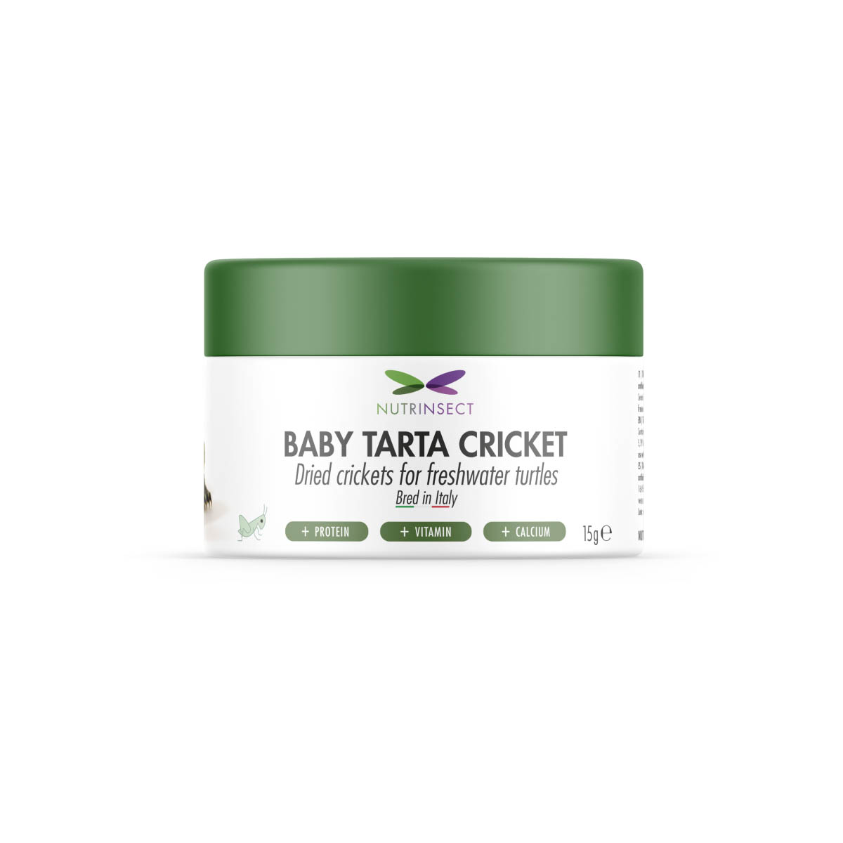 Baby Tarta cricket (15 gr)