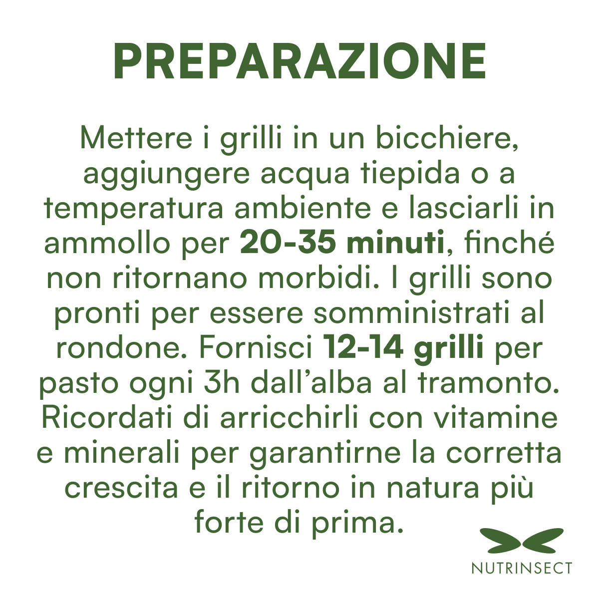 Grilli liofilizzati Acheta domesticus da reidratare - immagine 4