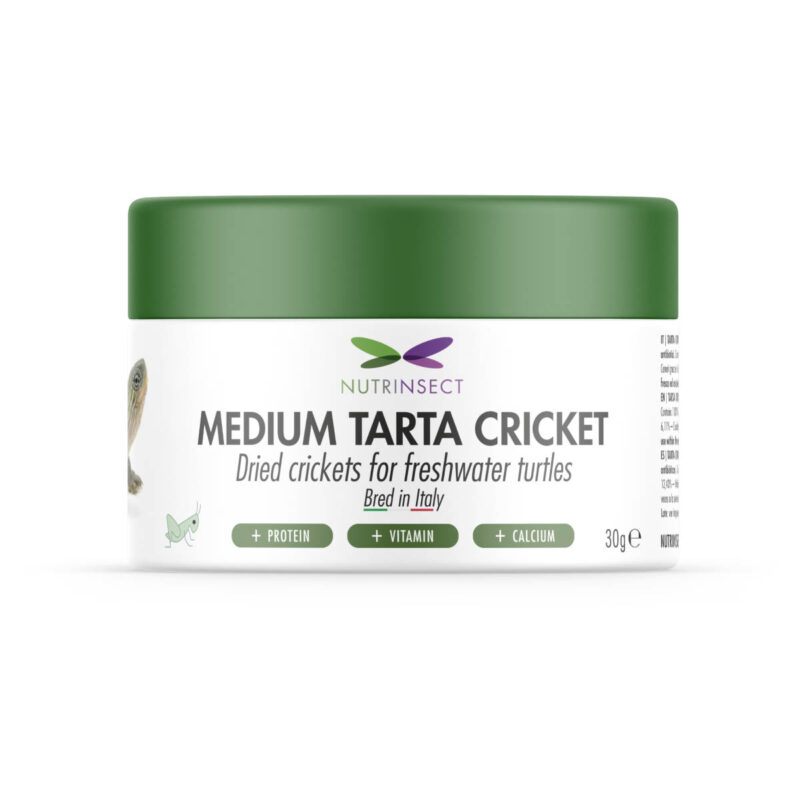 Medium Tarta cricket (30 gr)
