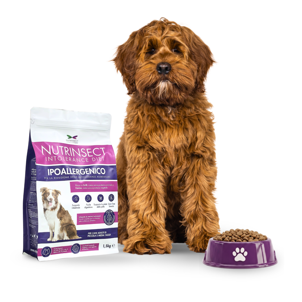 Nutrinsect Intolerance Diet crocchette con proteina di grillo per cani intolleranti